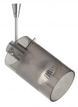 Besa Lighting SP-6524ES-18-SN - Besa Spotlight With 18" Stem Scope Satin Nickel Smoke/Frost 1x50W Halogen Mr16