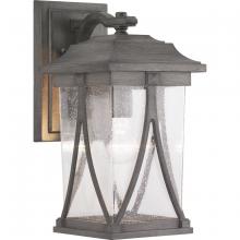 Progress P560114-103 - Abbott Collection One-Light Medium Wall Lantern