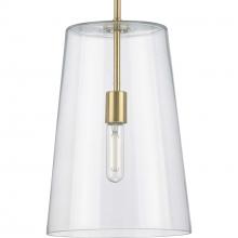 Progress P500242-012 - Clarion Collection One-Light Satin Brass Clear Glass Coastal Pendant Light