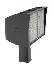 RAB Lighting PIPXL100SFW/D10/PFS - PIP XL FLOODLIGHT 100W COOL