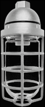 RAB Lighting VP100DG - Vaporproof, 100 Pendant 1/2 inch With Glass globe cast guard