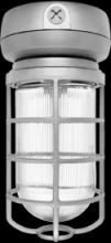 RAB Lighting VX2F32 - Vaporproof, 2400 lumens, CFL, ceiling mount, 32W, QT, 1/2 inch, with Glass globe, cast guard