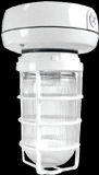 RAB Lighting VX1F13S-3/4 - Vaporproof, 900 lumens, CFL, ceiling mount, 13W, QT, 3/4 inch, Silver, with glass globe, Cast guar