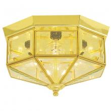 International 5324-10 - Four Light Brass Cage Flush Mount