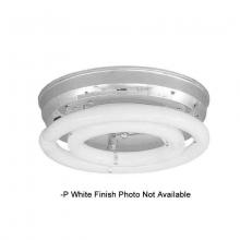 International CR520-P - Two Light White Fluorescent Light