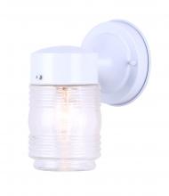 Canarm IOL2011 - Outdoor, 1 Bulb Outdoor, Clear Glass, 60W Type A or B