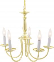 Nuvo SF76/280 - 5 Light - Chandelier with Candlesticks - Polished Brass Finish