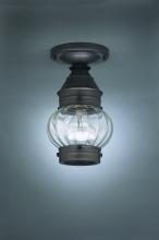 Northeast Lantern 2014-VG-MED-CLR - Onion Flush No Cage Verdi Gris Medium Base Socket Clear Glass