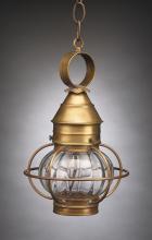 Northeast Lantern 2512-VG-MED-CLR - Caged Onion Hanging Verdi Gris Medium Base Socket Clear Glass