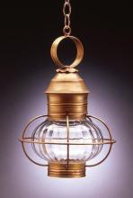 Northeast Lantern 2532-VG-MED-CLR - Caged Onion Hanging Verdi Gris Medium Base Socket Clear Glass